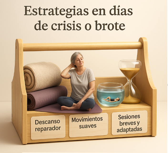 estrategias días brote